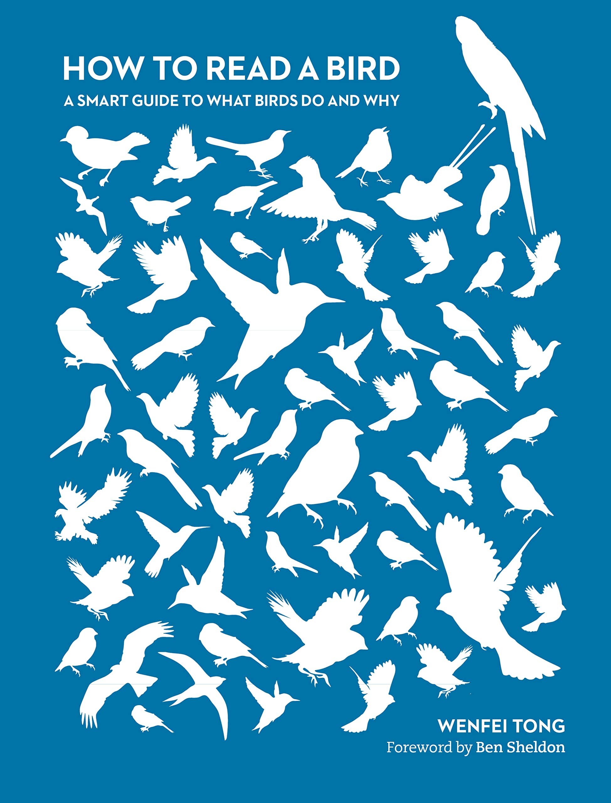 How to Read a Bird: A Smart Guide to What Birds Do and Why Mathematics