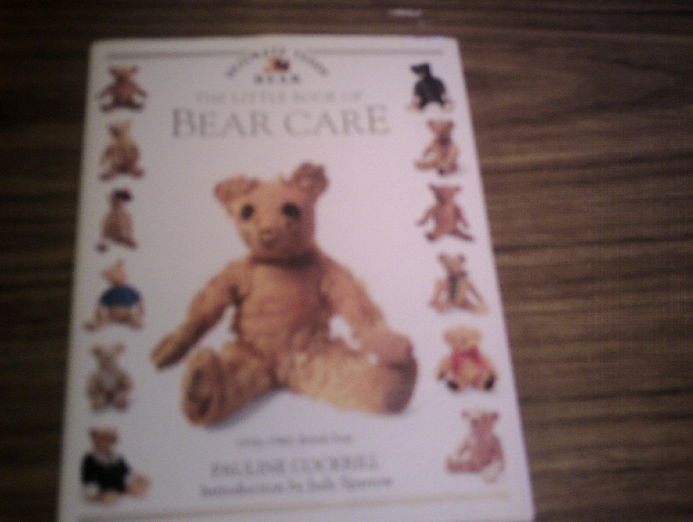 Little Teddy Bear Library: Bear Care Hobbies & Crafts
