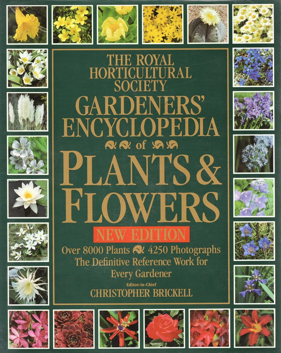 RHS Encyclopedia of Plants & Flowers (Revised) (Rhs1) Garden & Plants