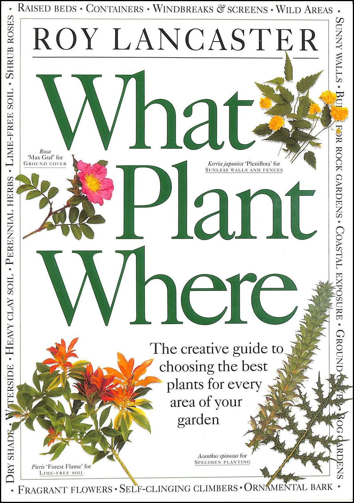 Product Image: What Plant Where