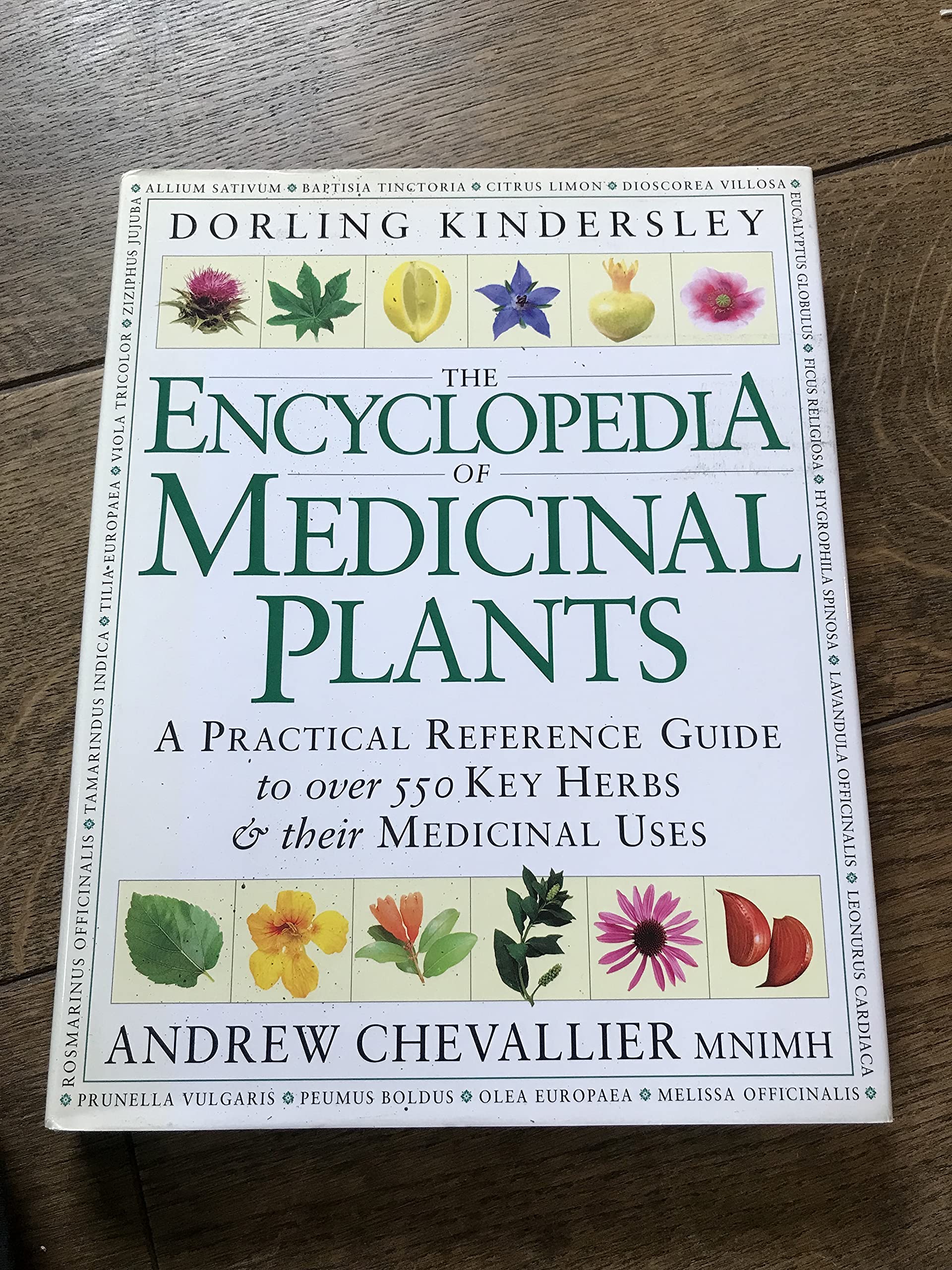 Encyclopedia of Medicinal Plants book