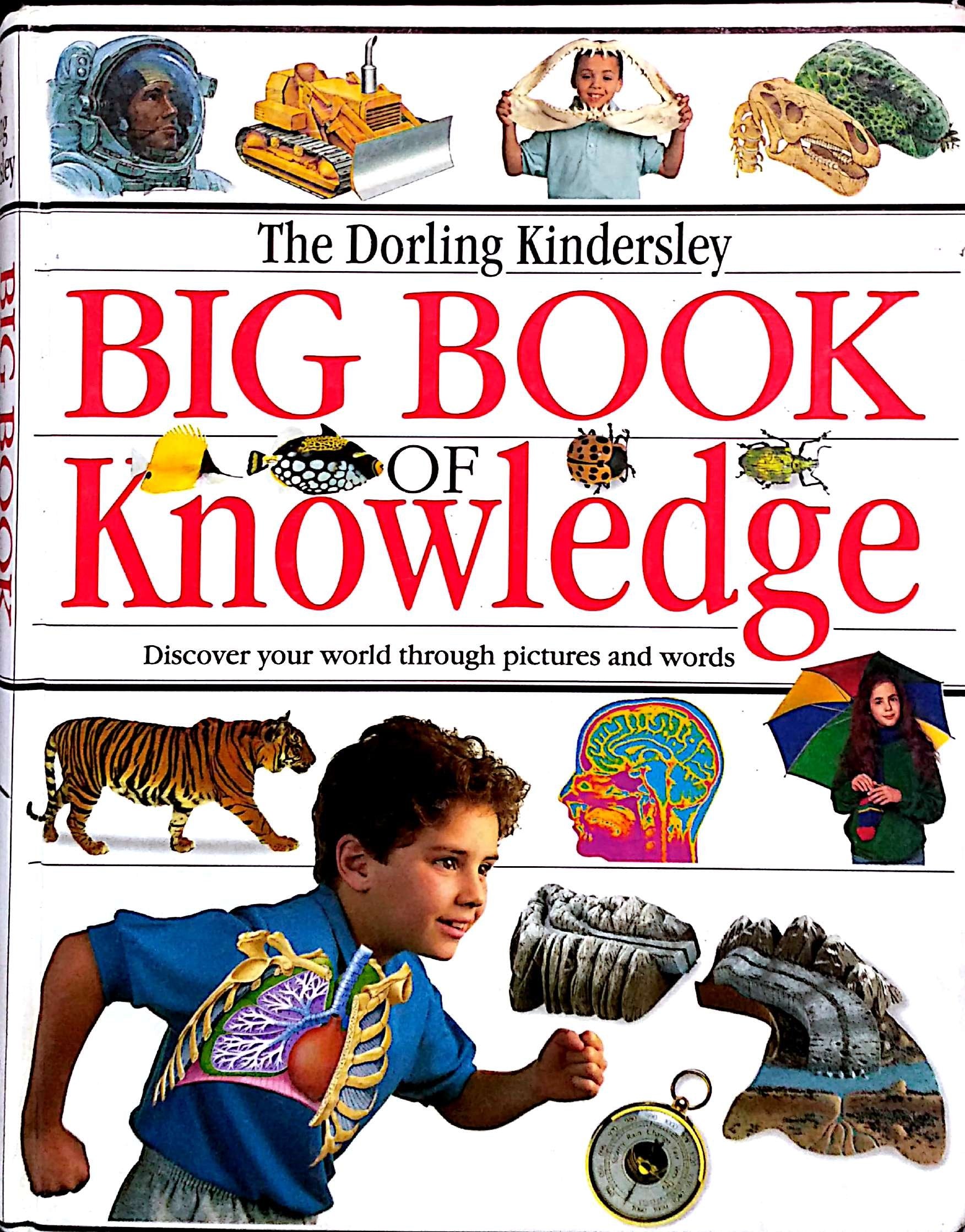 DK Big Book of Knowledge Non-fiction