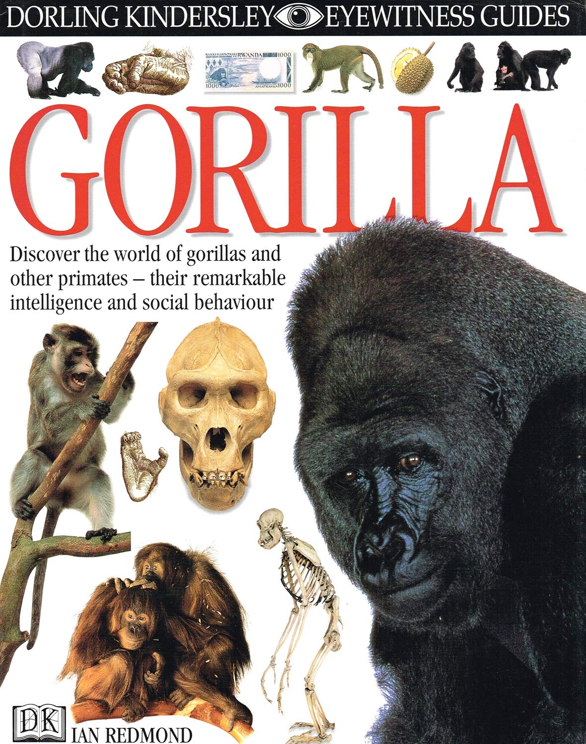 Product Image: Gorilla (DK Eyewitness)