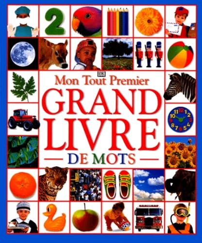 Mon Tout Premier Grand Livre De Mots Books
