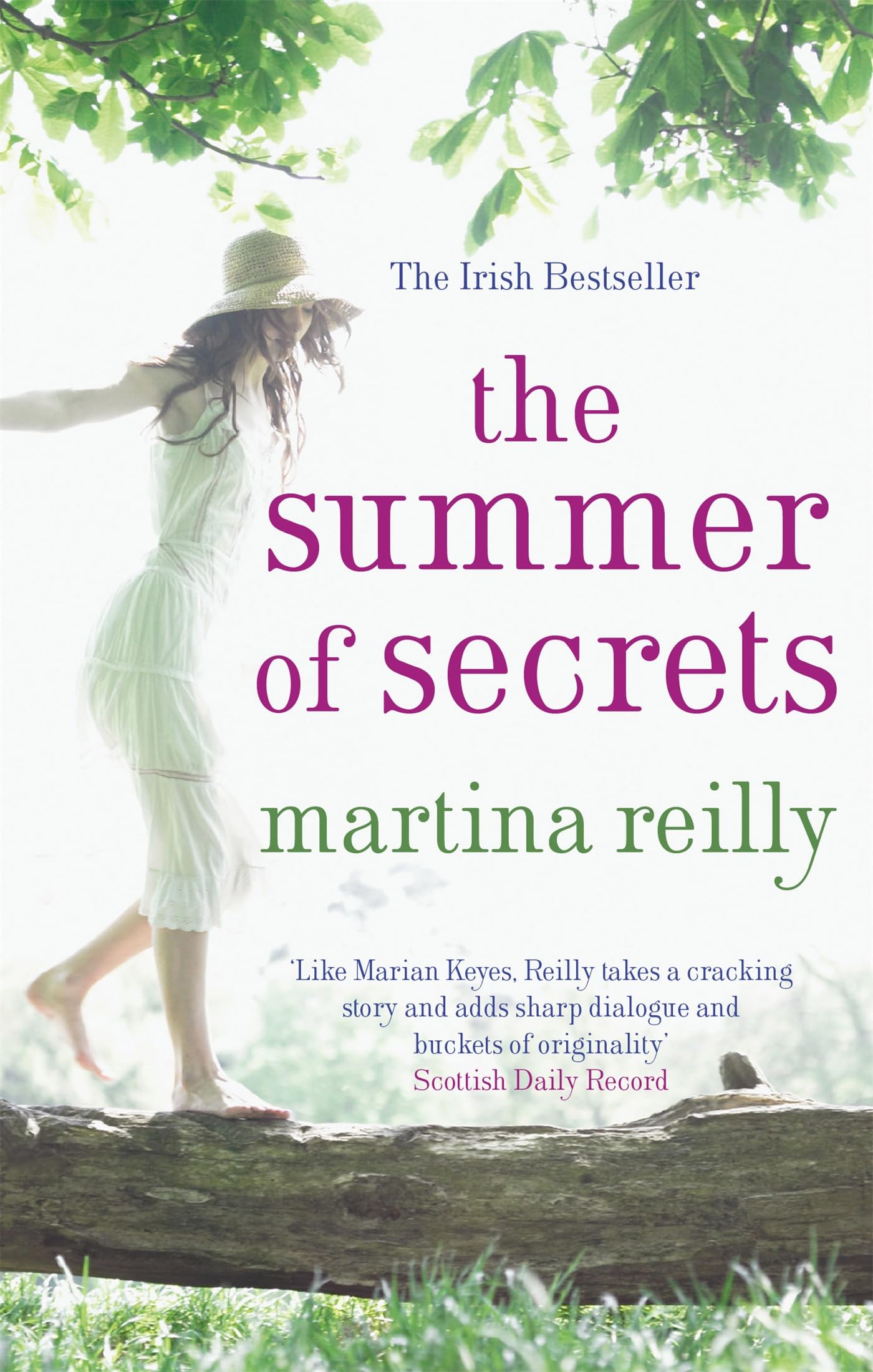 The Summer of Secrets Contemporary literature
