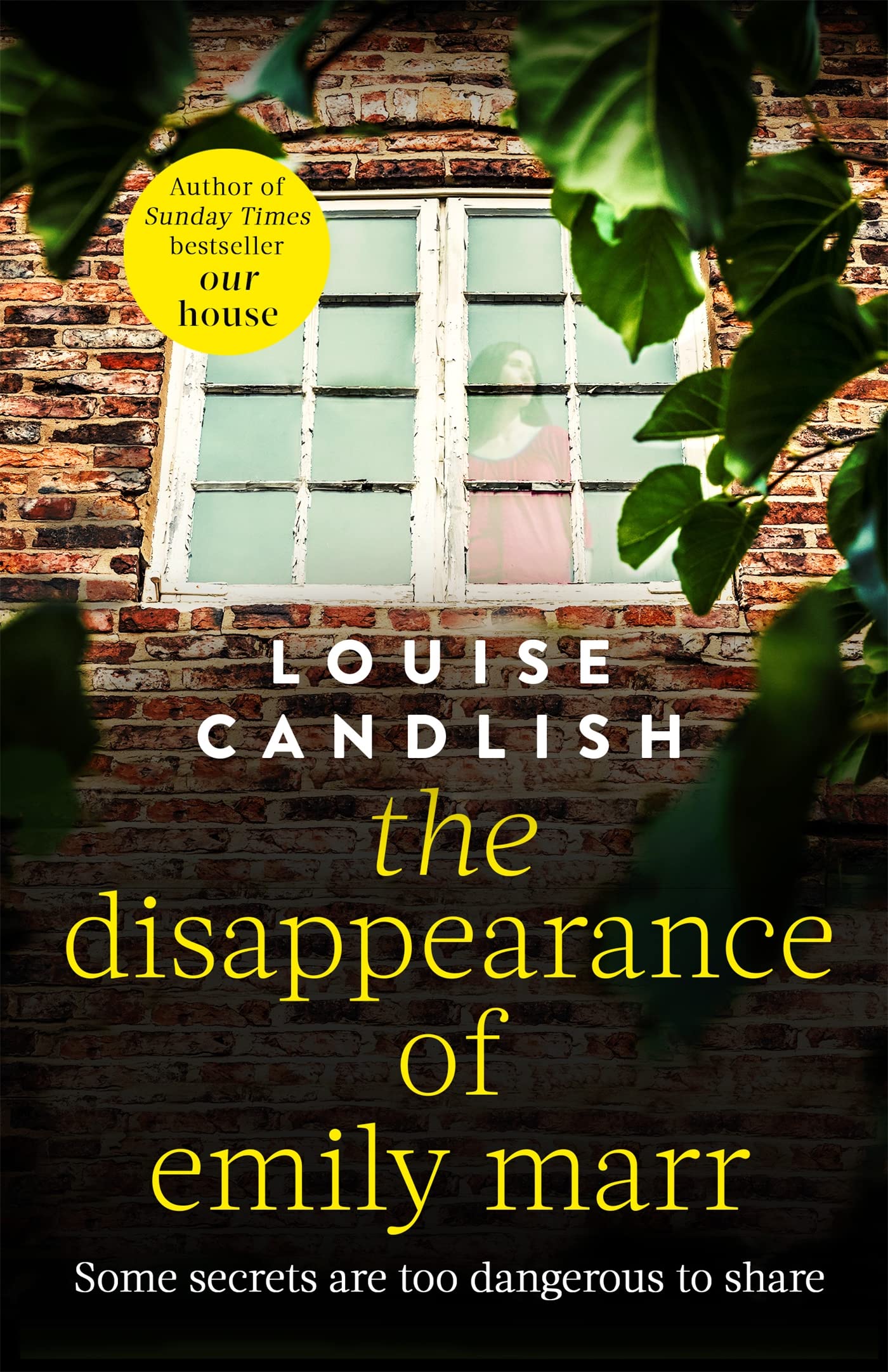 The Disappearance of Emily Marr: From the Sunday Times bestselling author of OUR HOUSE Contemporary literature