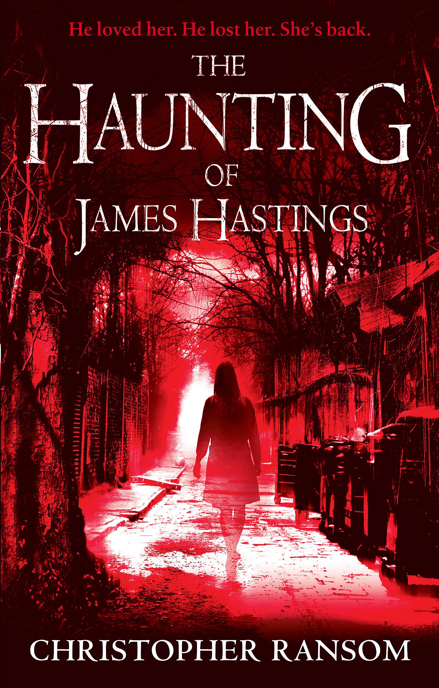 The Haunting Of James Hastings Contemporary literature