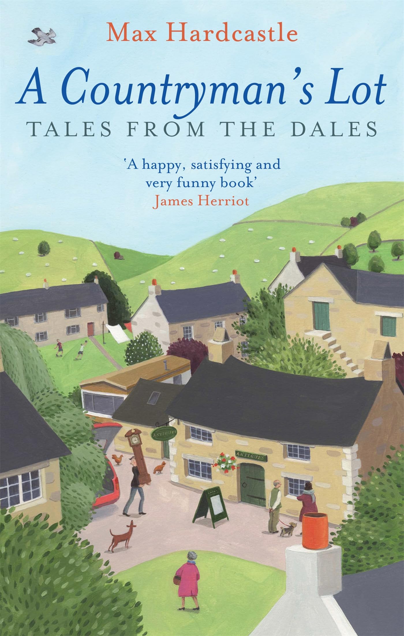A Countryman's Lot: Tales From The Dales Art & Literature