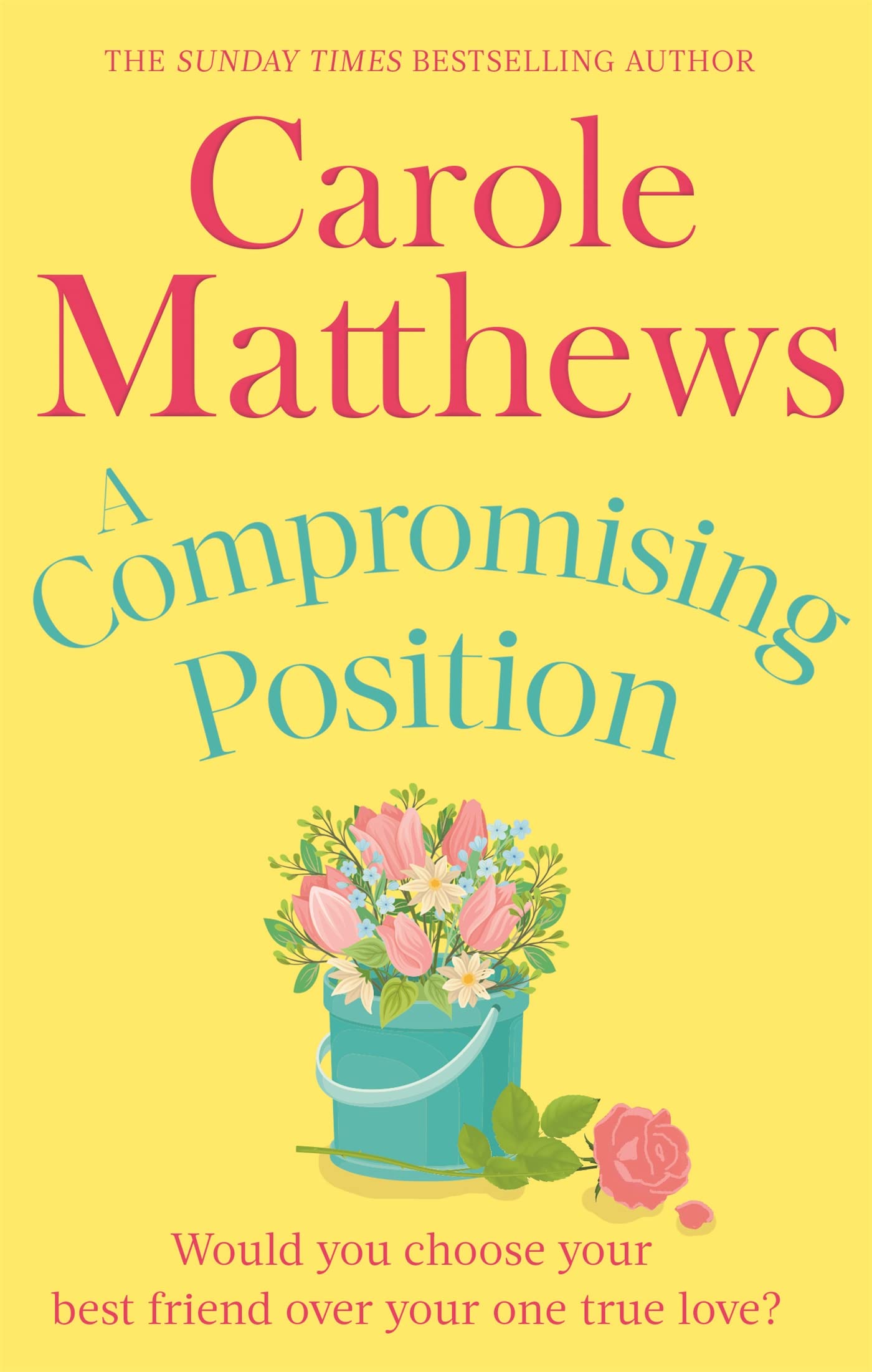 A Compromising Position book