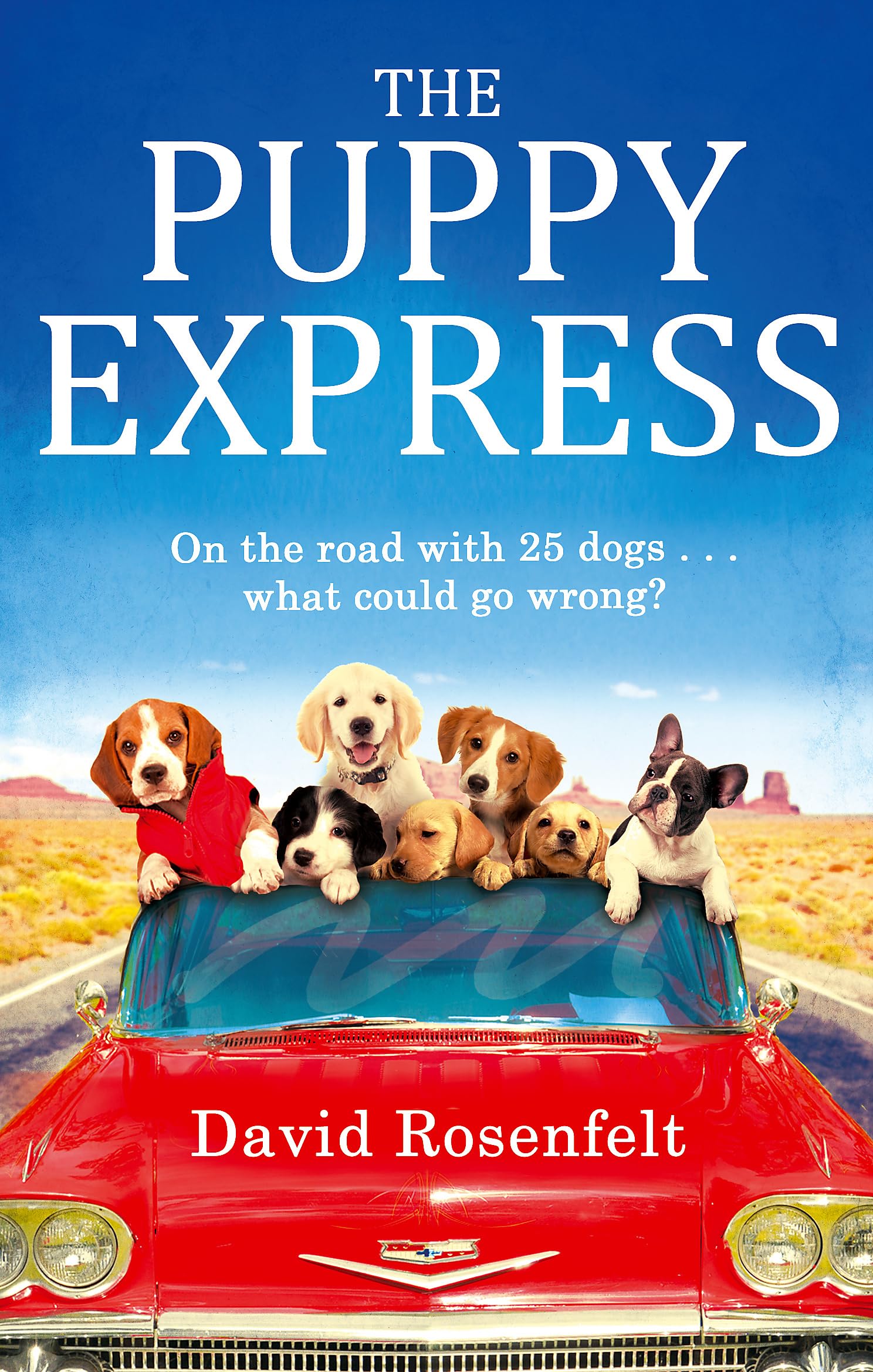 Product Image: The Puppy Express
