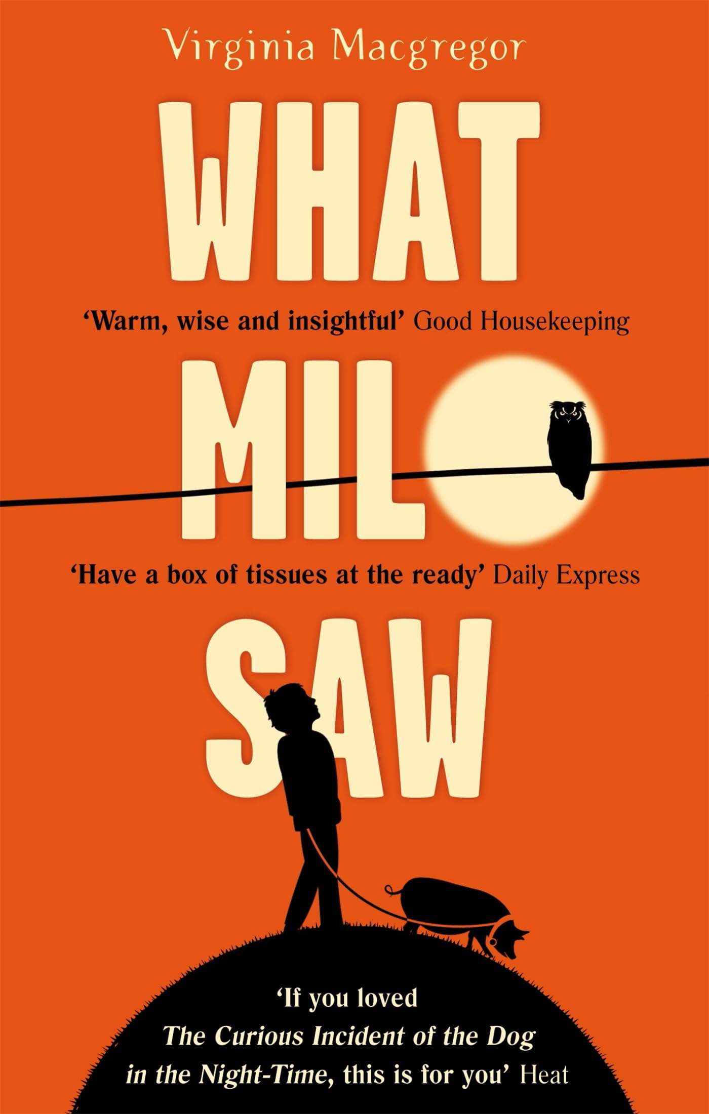 What Milo Saw: He sees the world in a very special way . . . Contemporary literature