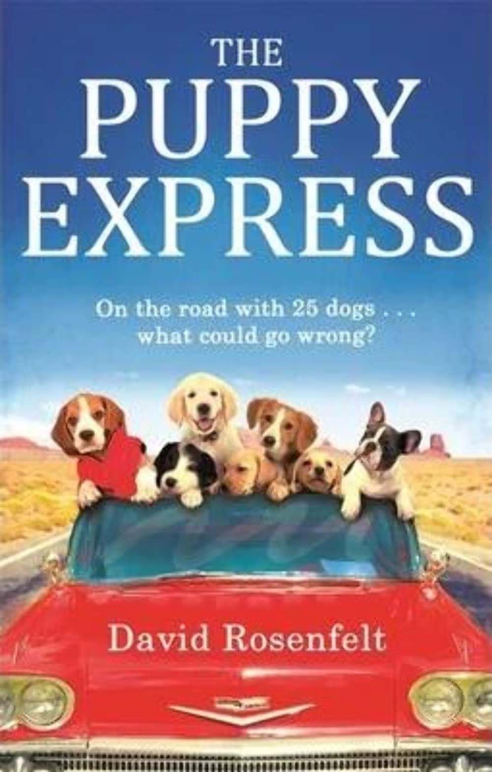 The Puppy Express: On the Road with 25 Rescue Dogs... What Could Go Wrong? Pets