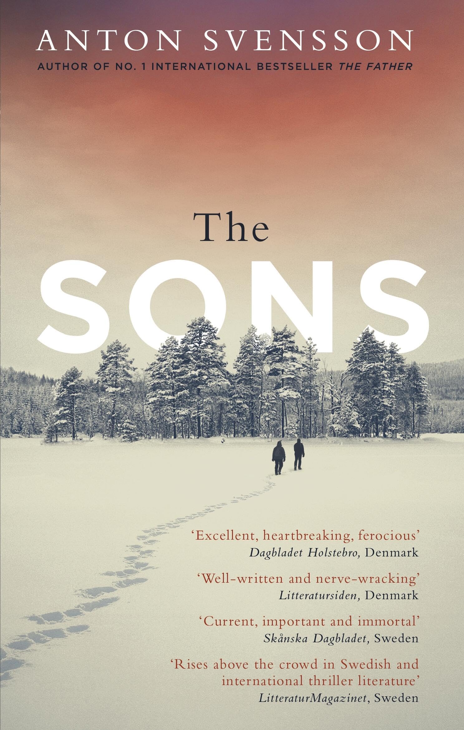Product Image: The Sons