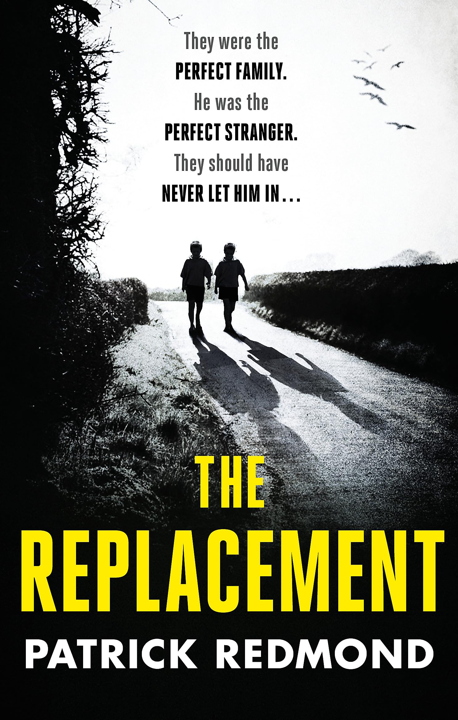 Redmond, P: The Replacement Contemporary literature Books