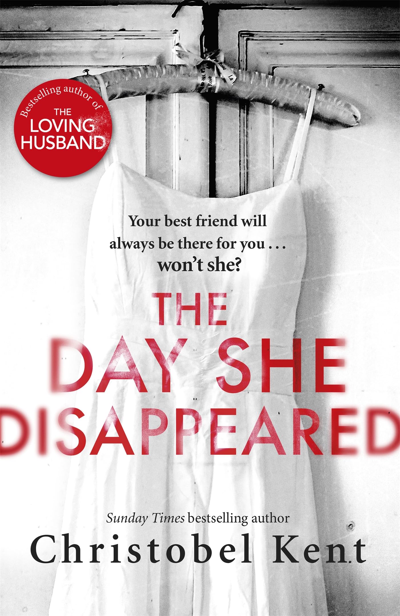 Product Image: The Day She Disappeared