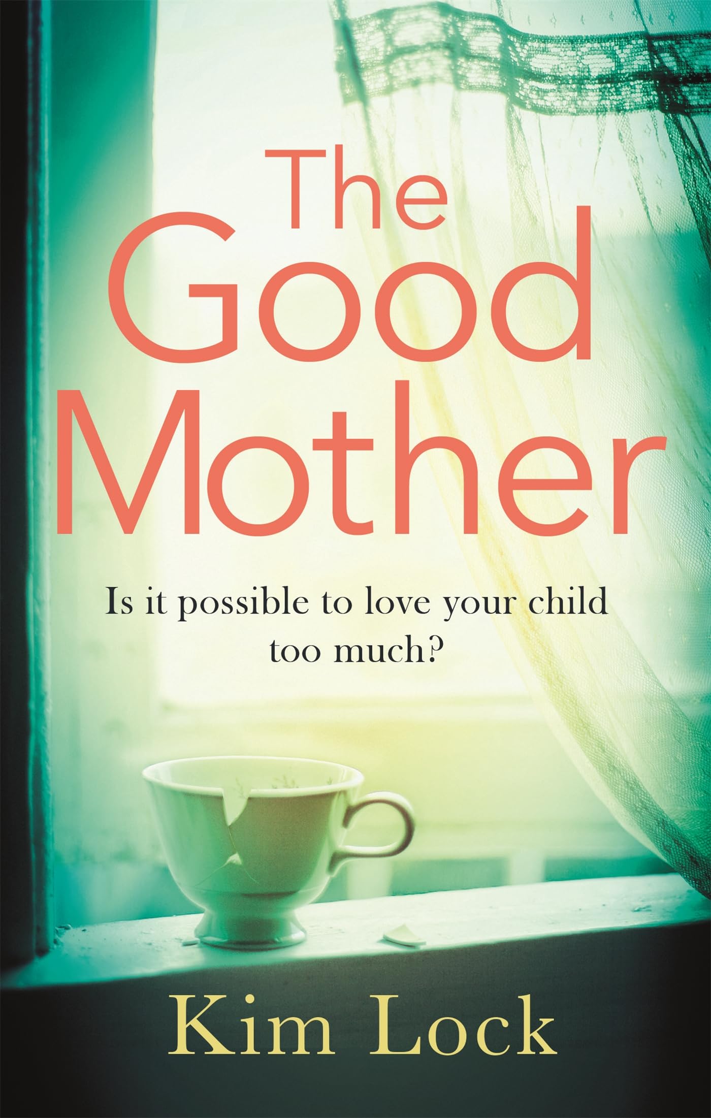 The Good Mother: A gripping emotional page turner with a twist that will leave you reeling book