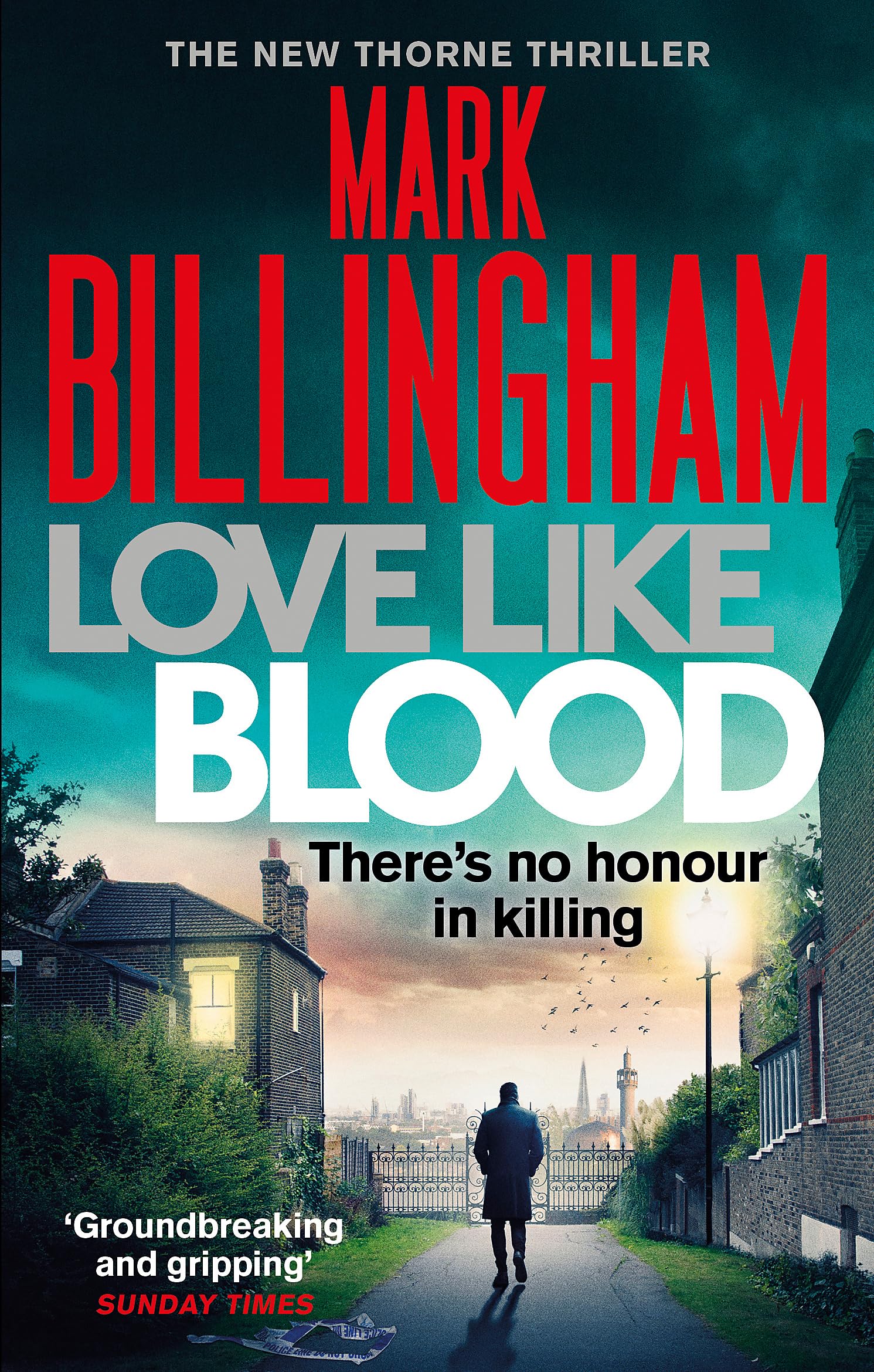 Product Image: Love Like Blood