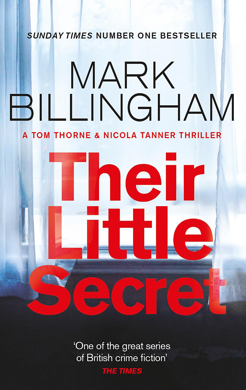 Their Little Secret Contemporary literature Books