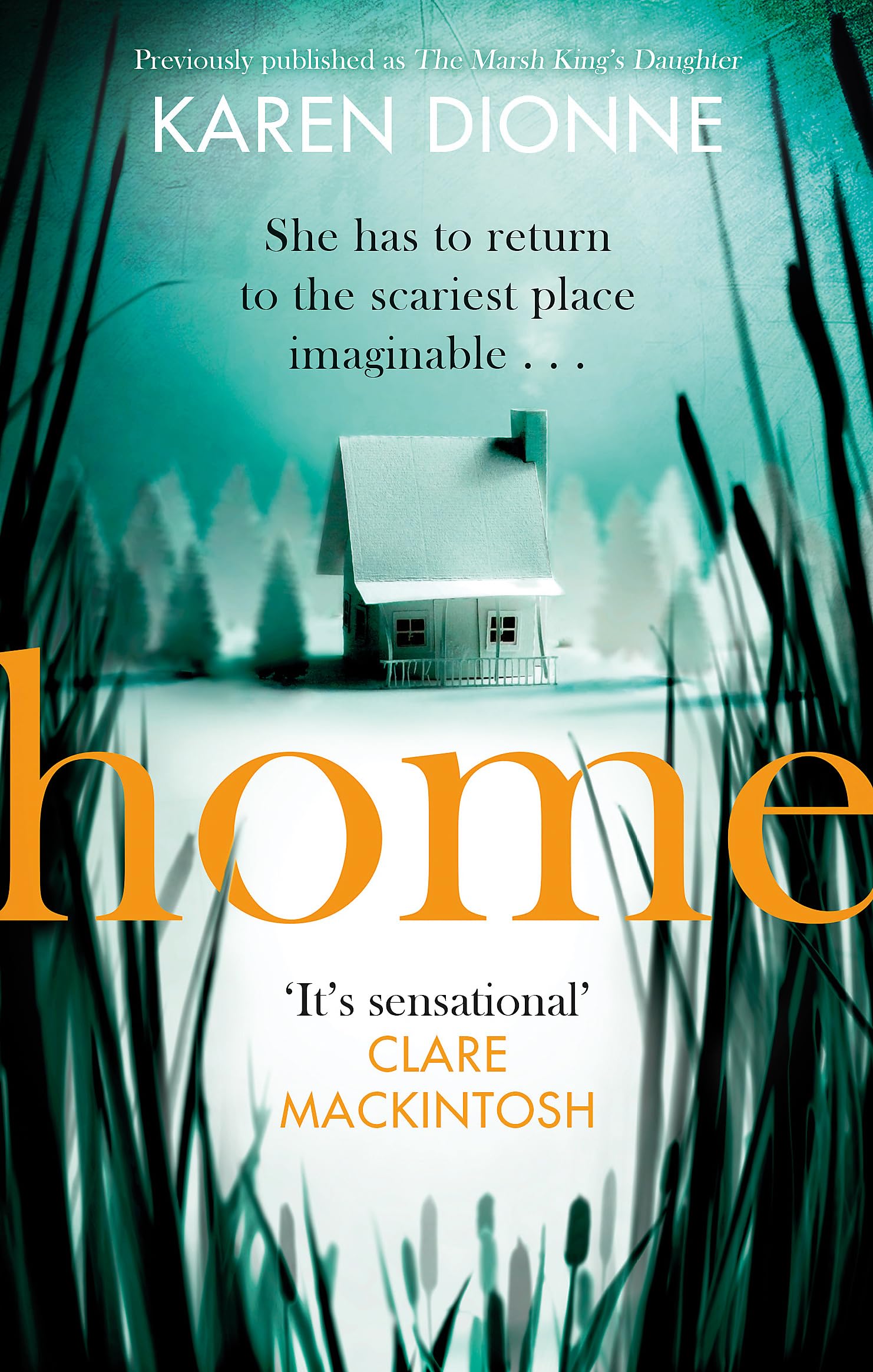 Home Action & Adventure