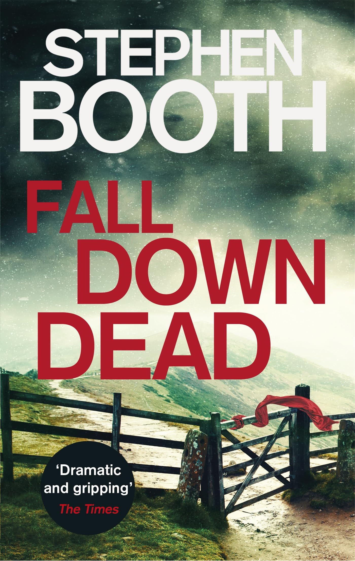 Fall Down Dead Contemporary literature Books