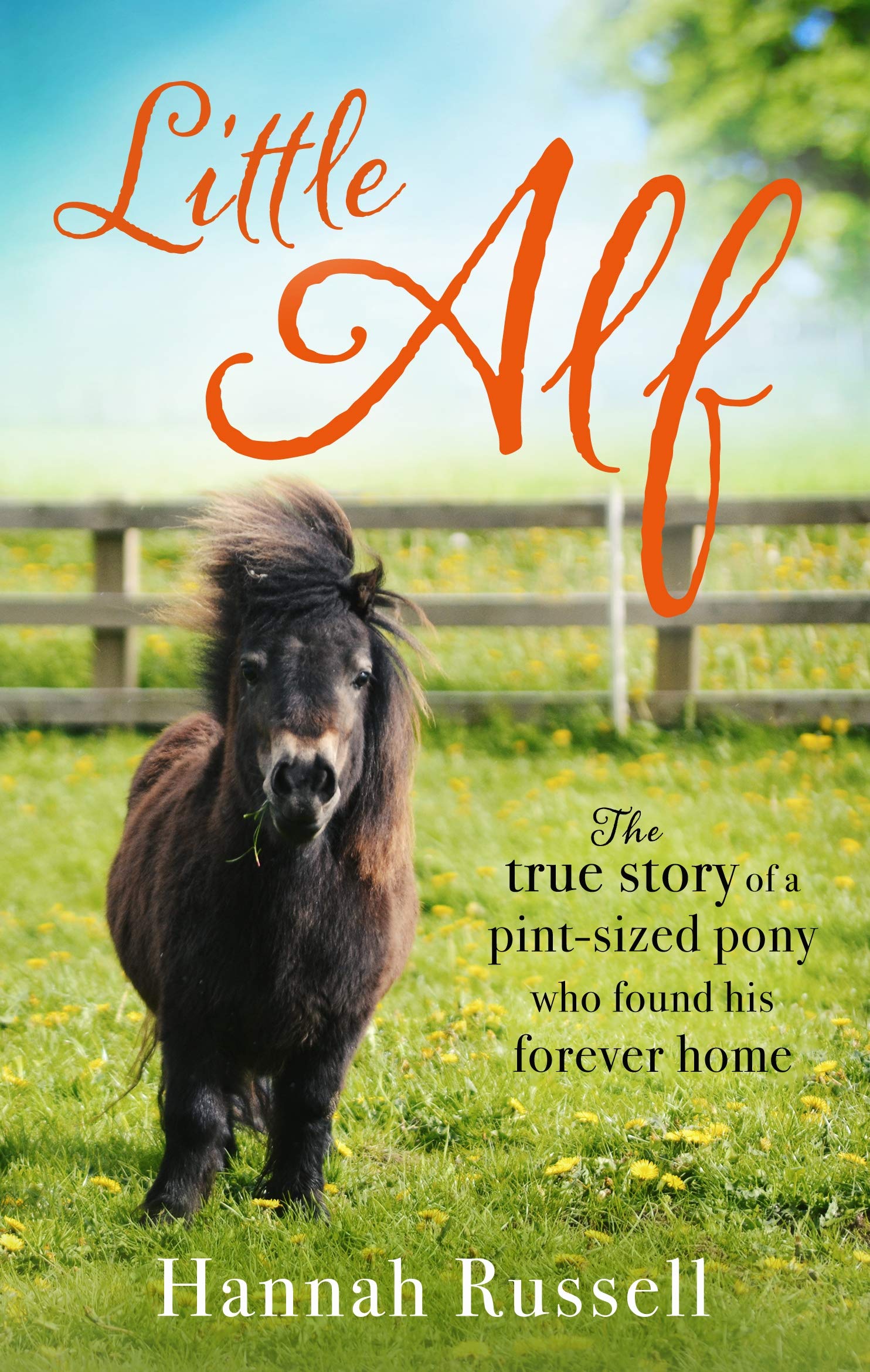 Little Alf: The true story of a pint-sized pony who found his forever home Contemporary literature
