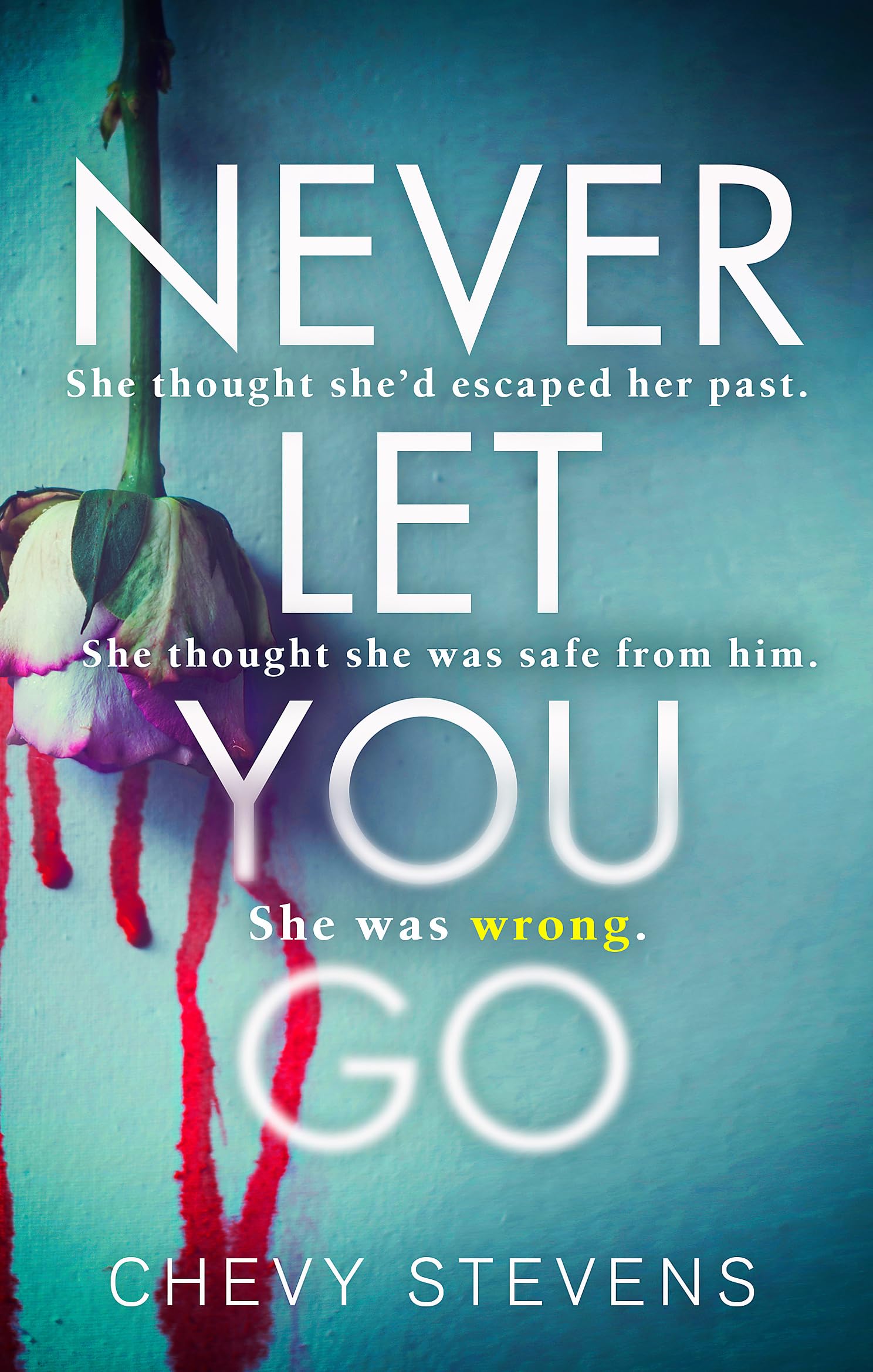 Never Let You Go Contemporary literature Books
