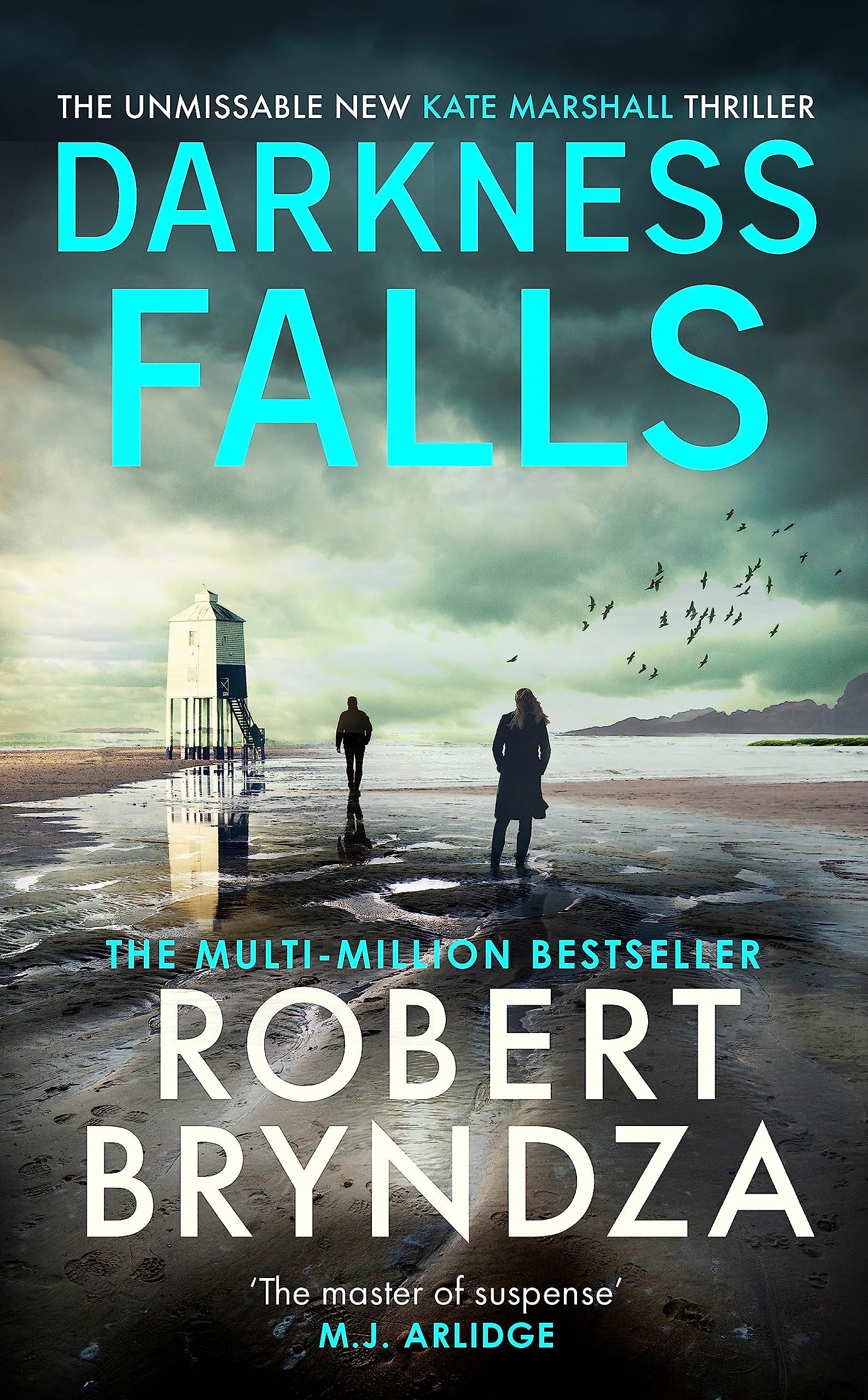 Darkness Falls: The third unmissable thriller in the pulse-pounding Kate Marshall series Contemporary literature