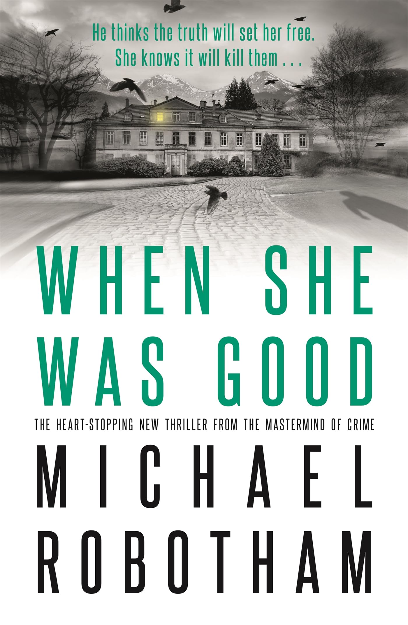 When She Was Good Contemporary literature Books