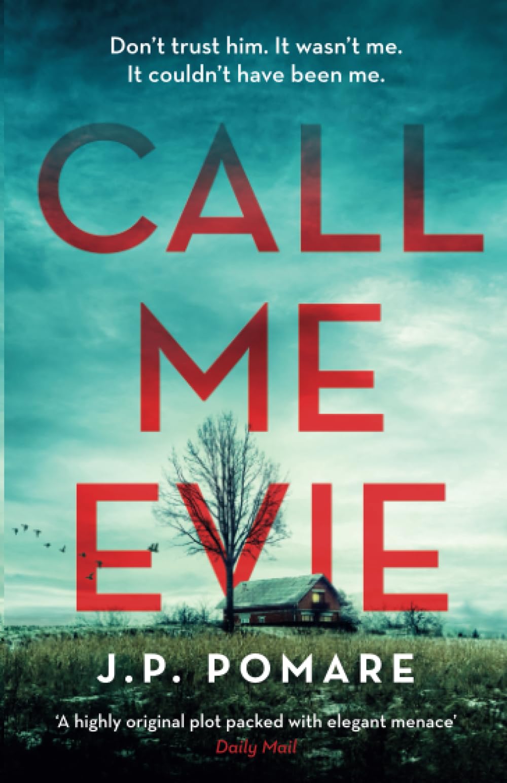 Call Me Evie: The Australian Bestseller with a jaw-dropping twist Contemporary literature