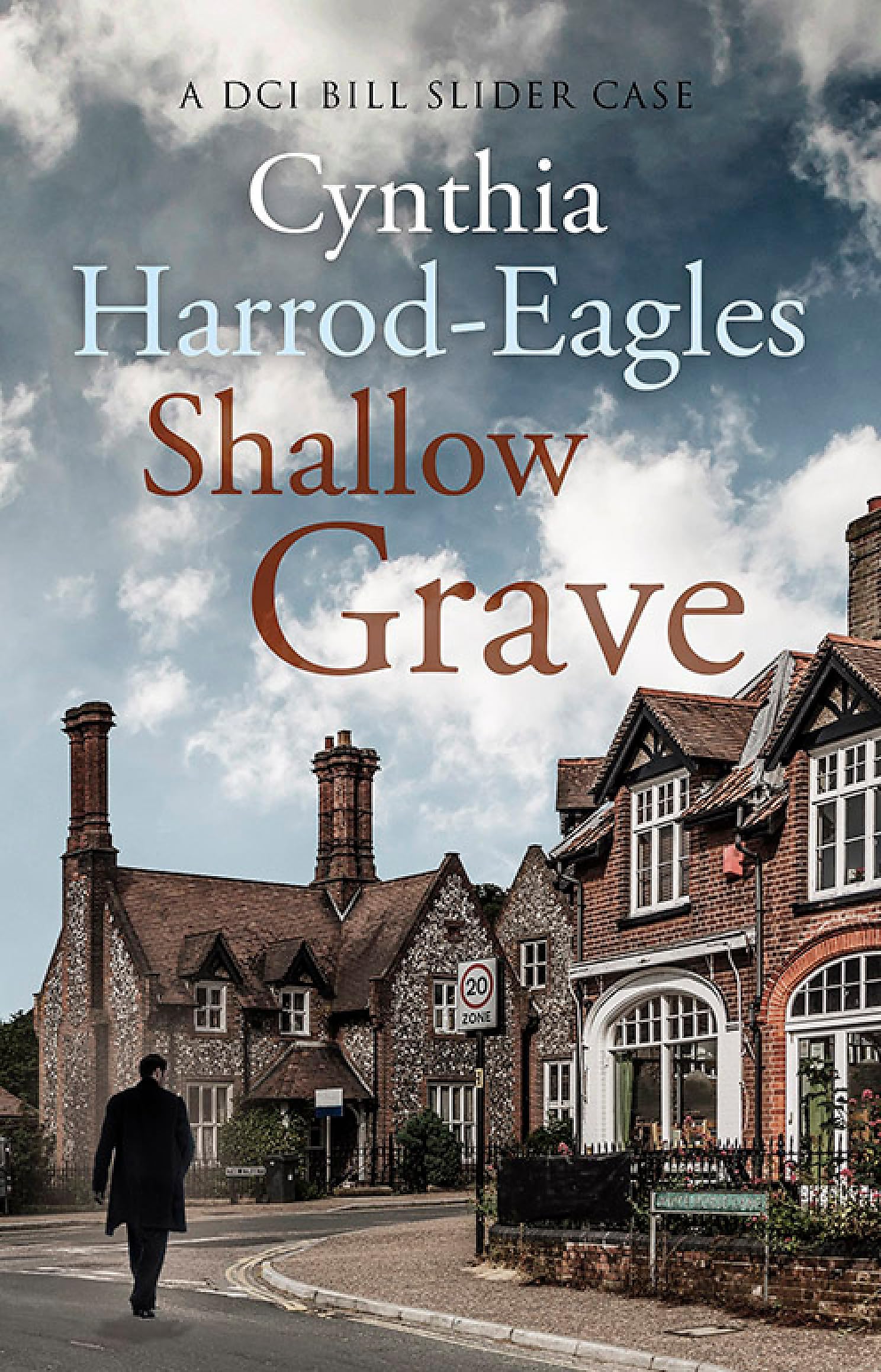 Shallow Grave Contemporary literature Books