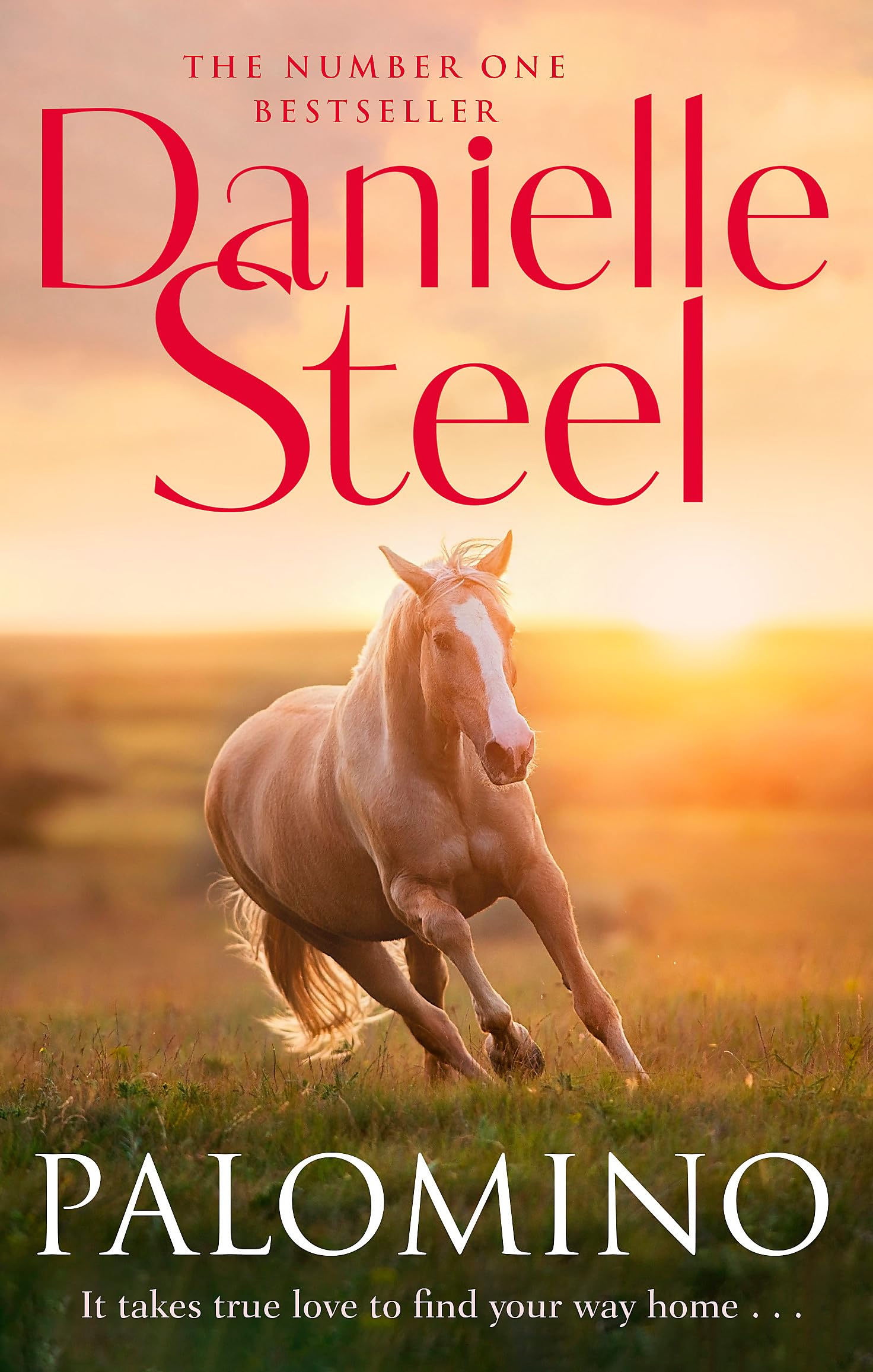Palomino: An epic, unputdownable read from the worldwide bestseller Contemporary literature