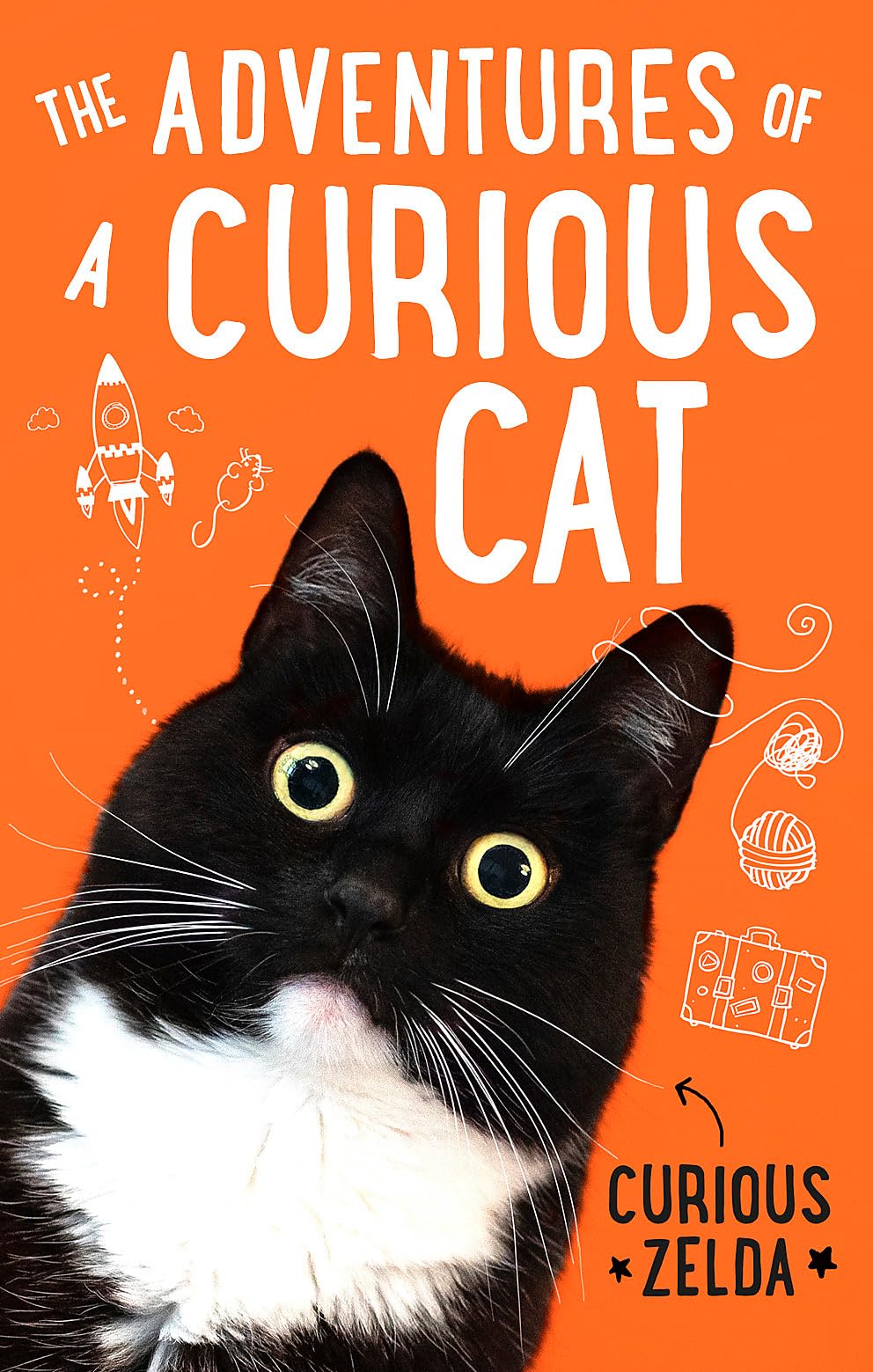 The Adventures of a Curious Cat Humour & Satire