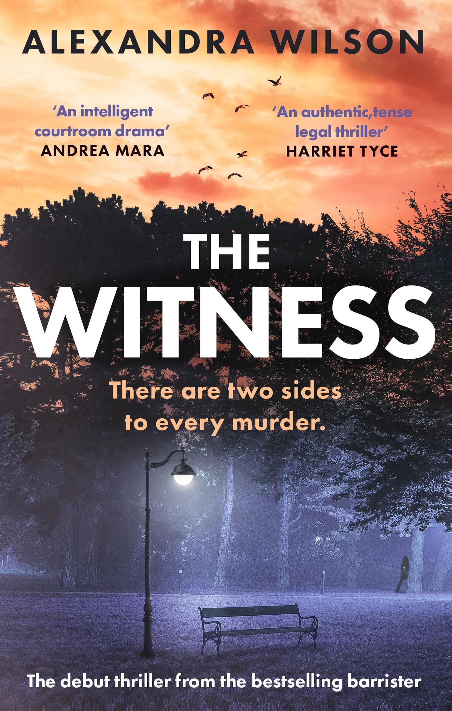 The Witness: The most authentic, twisty legal thriller, from the barrister author of In Black and White Social Sciences