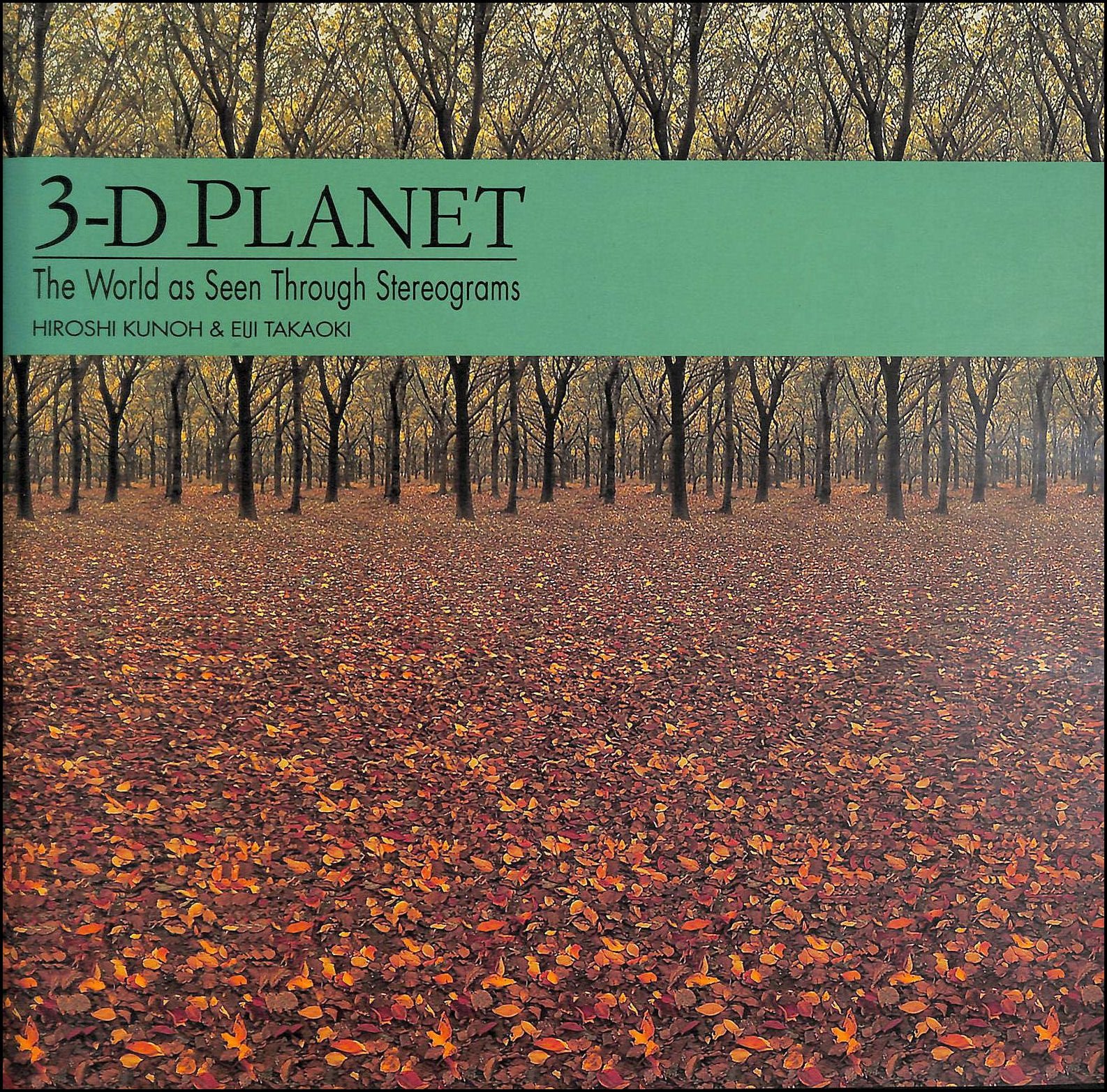 3-D Planet: World as Seen Through Stereograms Computer Science