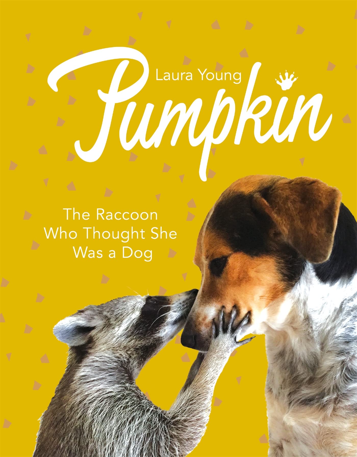 Pumpkin: The Raccoon Who Thought She Was a Dog Pets