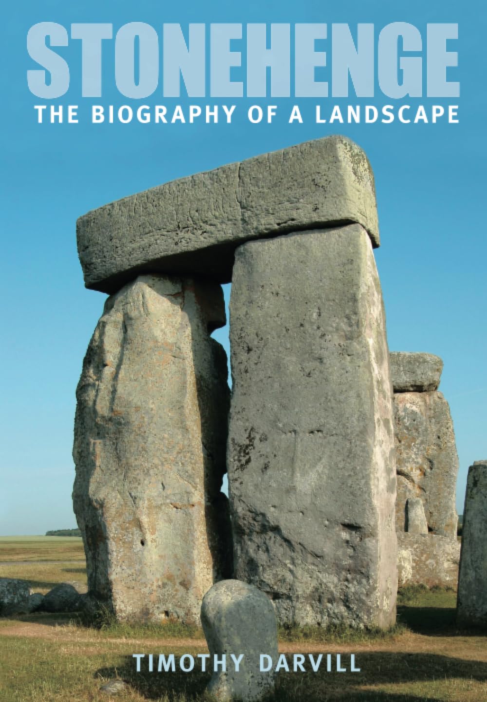 Darvill, T: Stonehenge Social Sciences