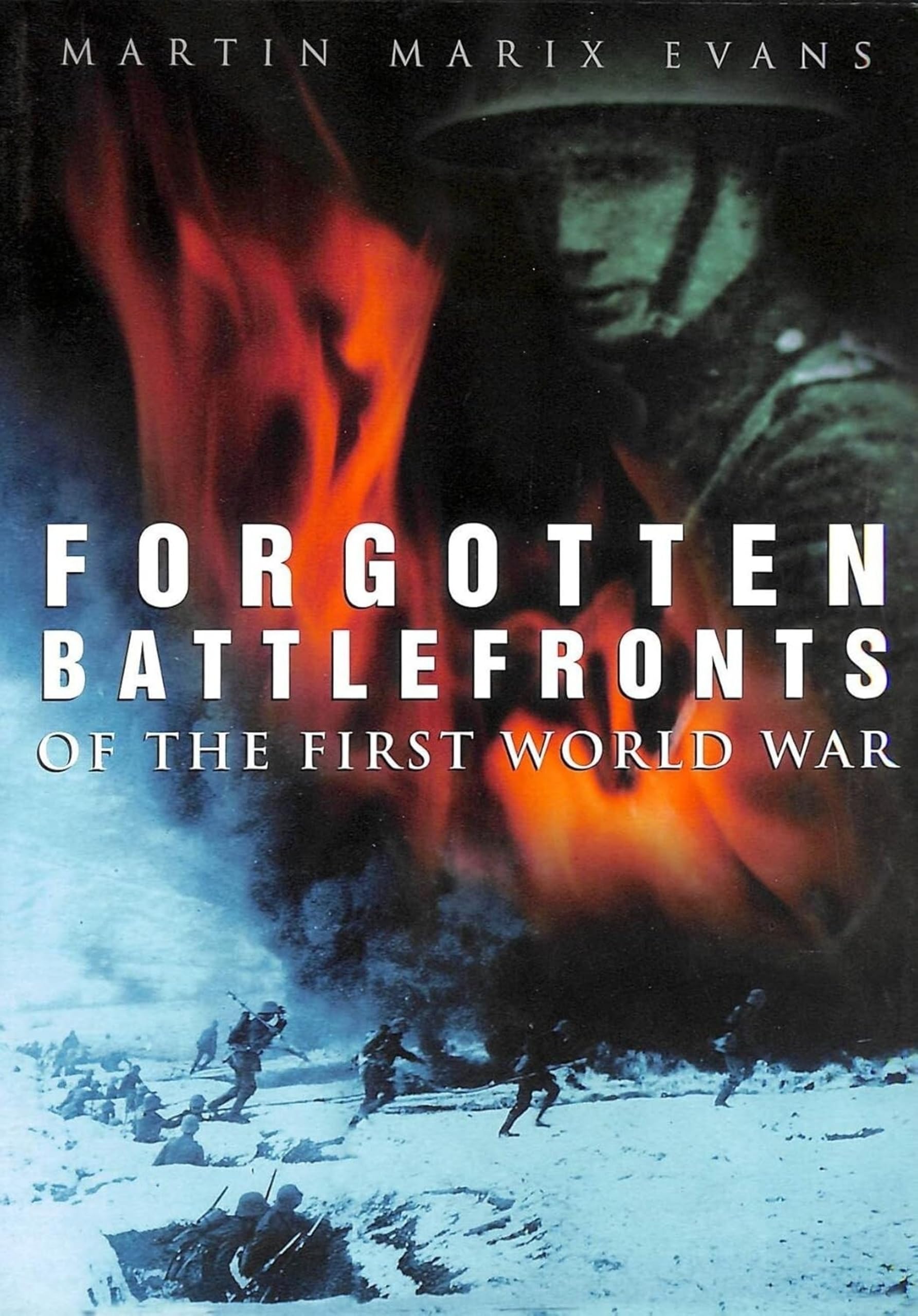 Forgotten Battlefronts of the First World War Politics & History