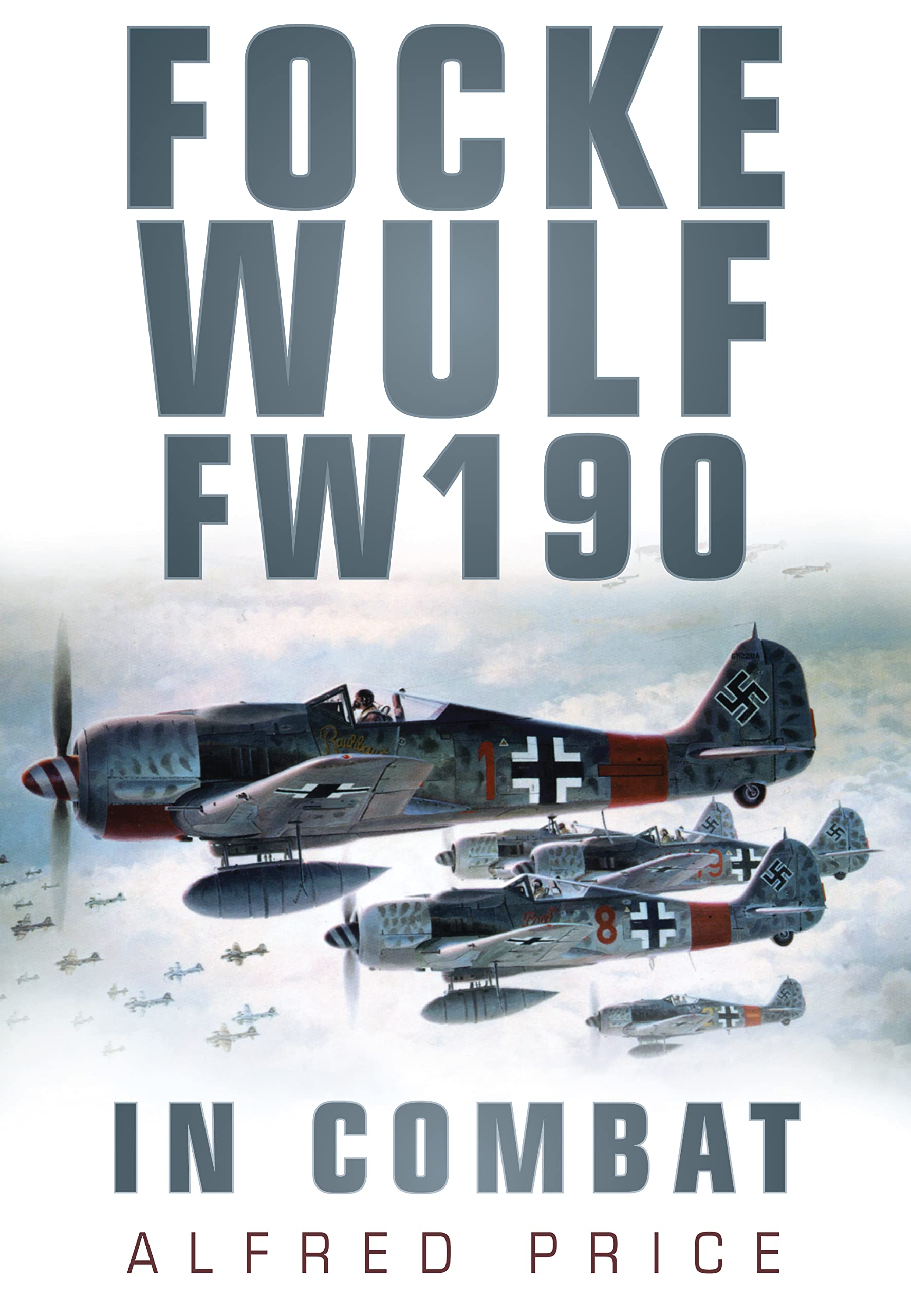 Focke Wulf FW190: In Combat Social Sciences