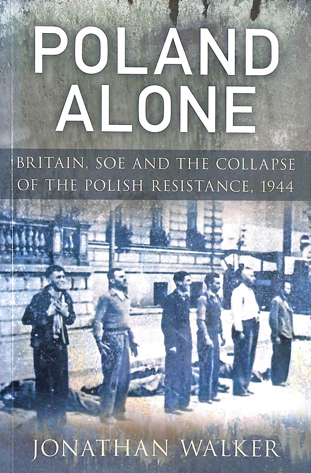 Poland Alone: Britain, Soe And The Collapse Of The Polish Resistance, 1944 book