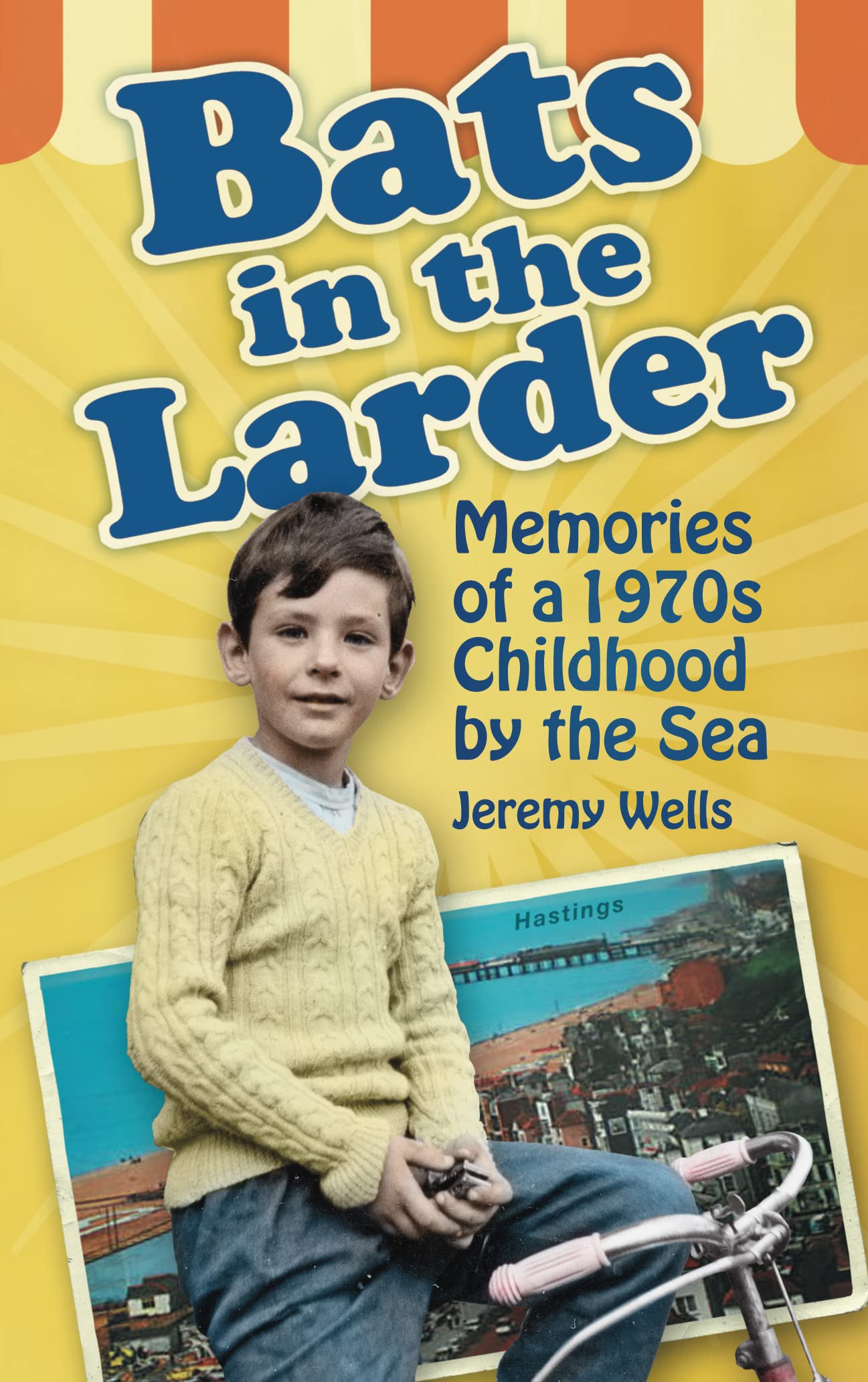 Bats in the Larder: Memories of a 1970s Childhood by the Sea Politics & History