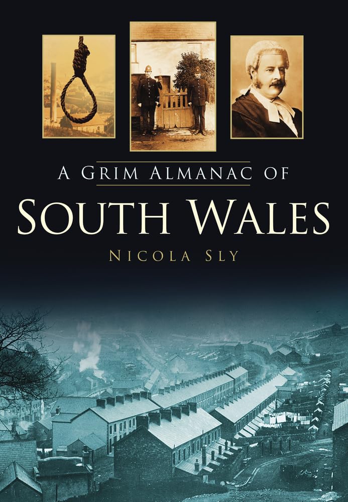 A Grim Almanac of South Wales (Grim Almanacs) Politics & Society