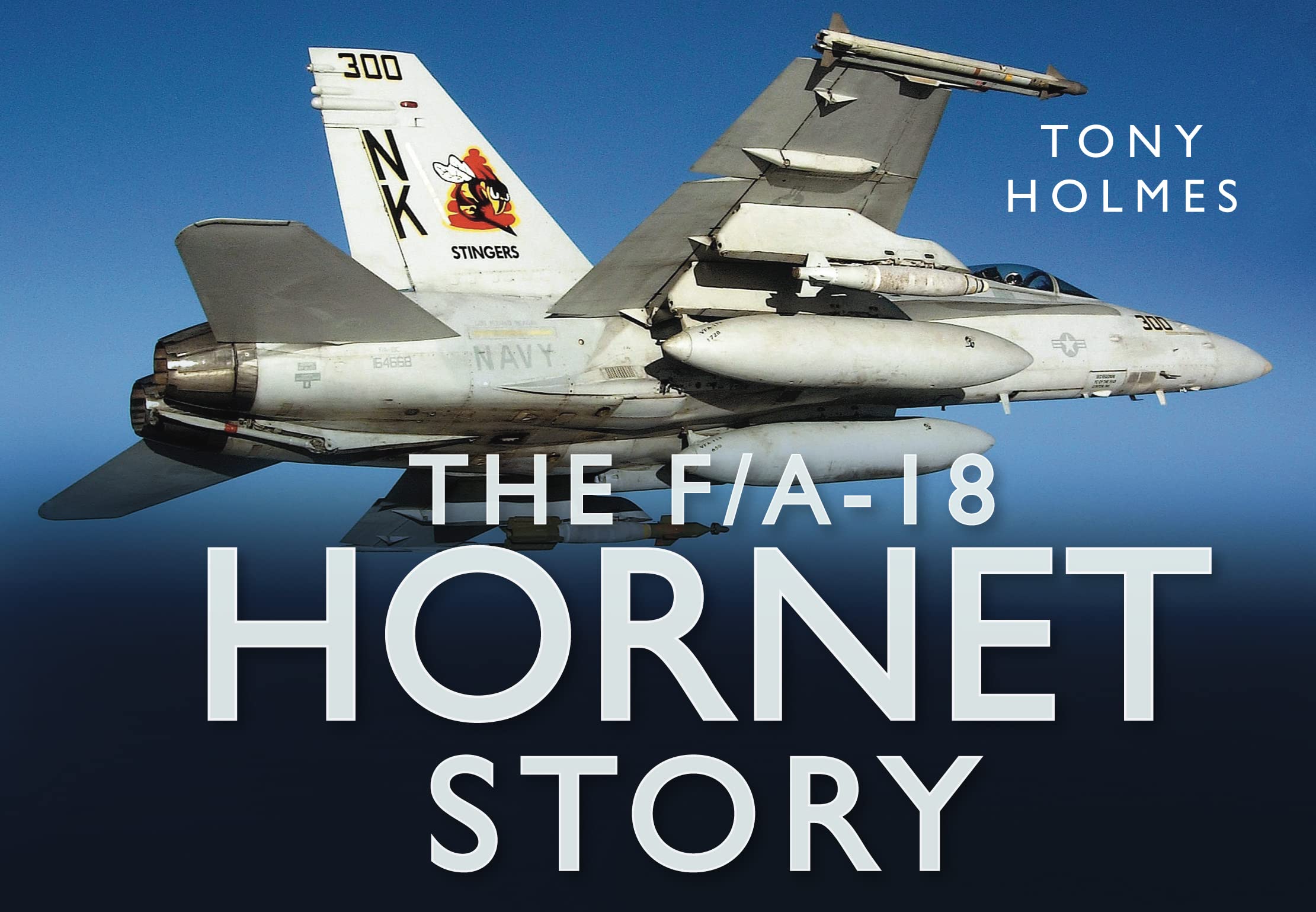 The F/A18 Hornet Story Social Sciences