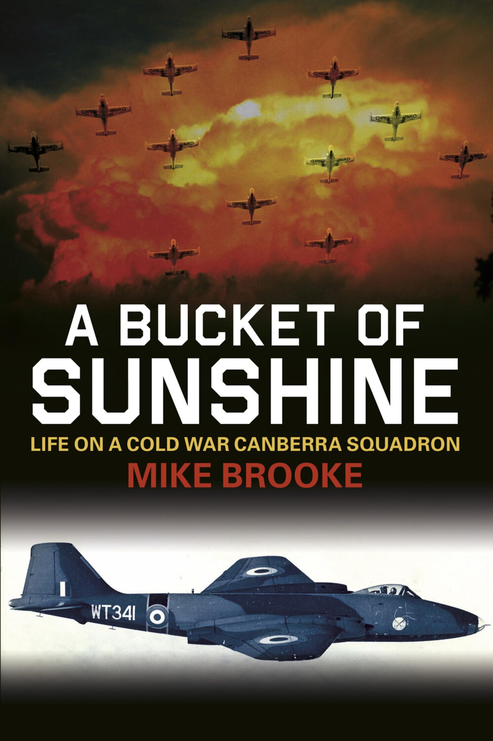 A Bucket of Sunshine Biographies & Memoirs