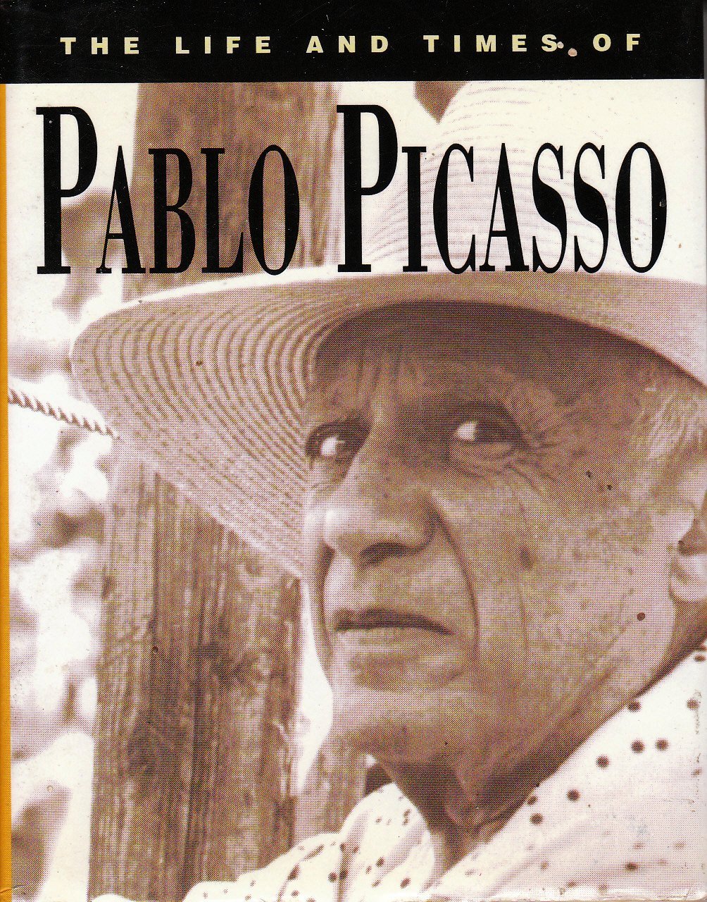 Product Image: Picasso (Life & Times S.)