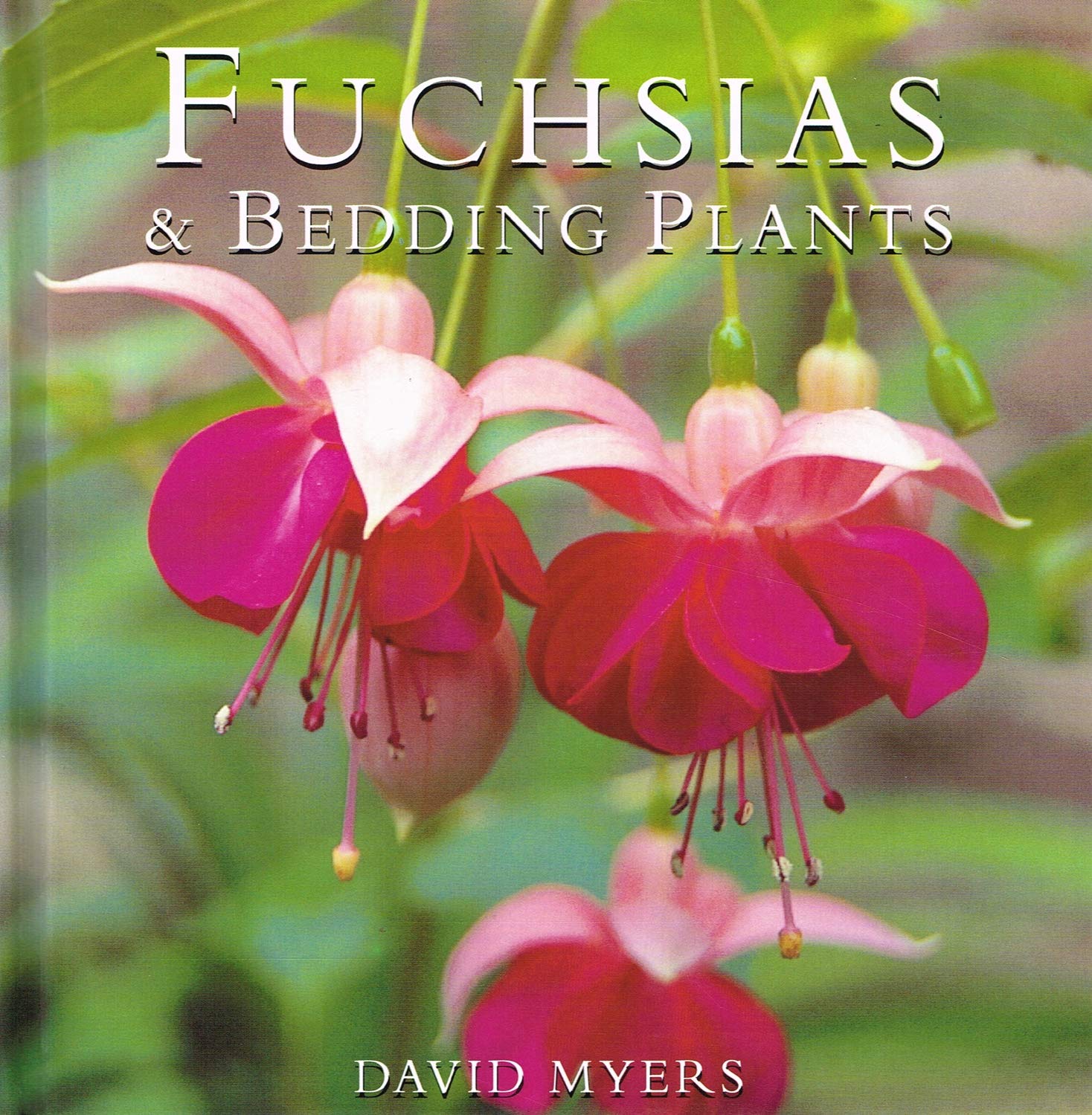 Fuchsias and Bedding Plants (Gardening Guides) Garden & Plants