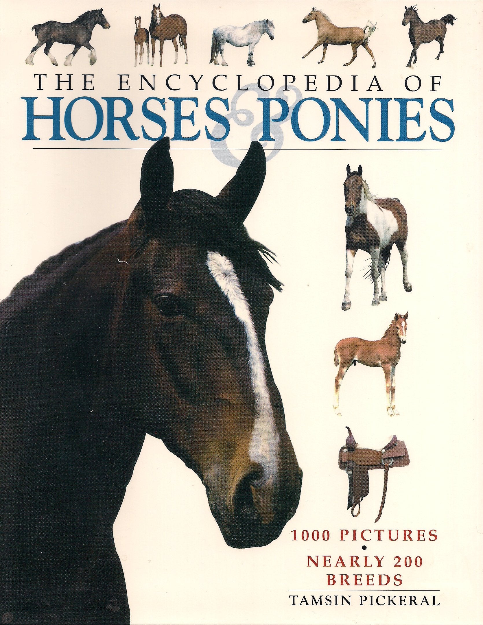 The Encyclopedia of Horses & Ponies Reference Books