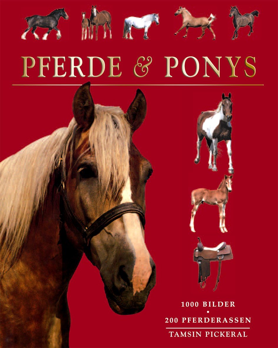 Pferde & Ponys Pets