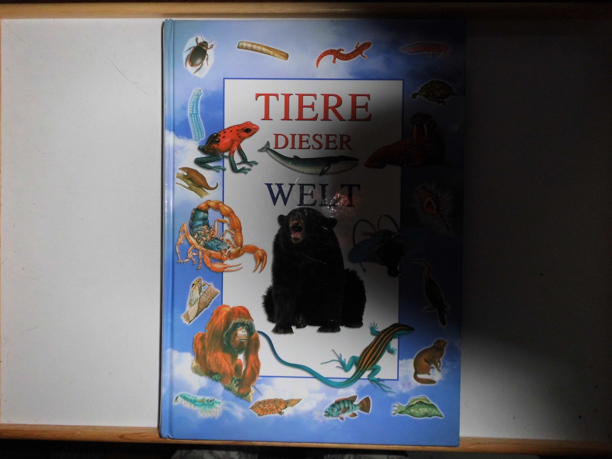 Tiere dieser Welt Politics & History