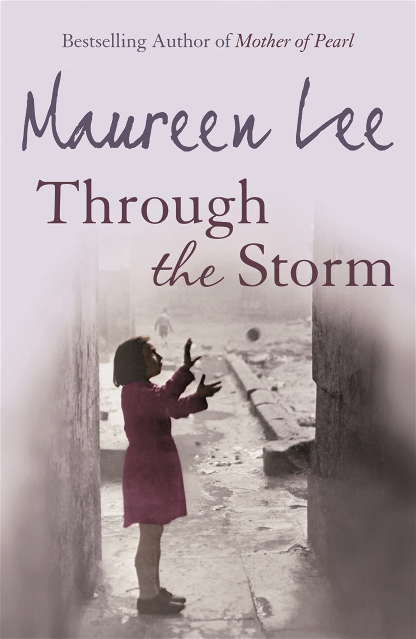 Through The Storm Contemporary literature Books