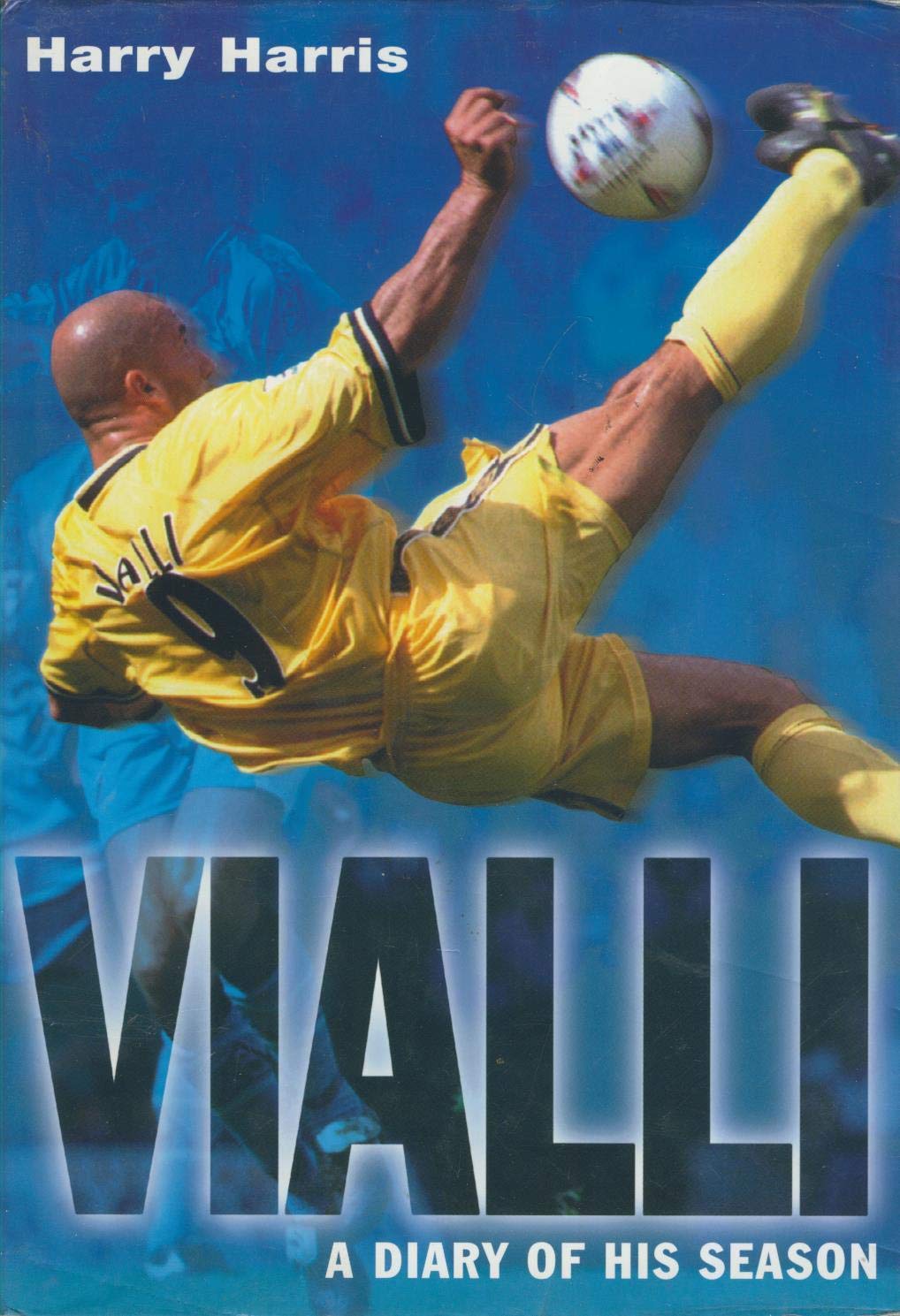 Vialli: A Diary of His Season Leisure & Fun